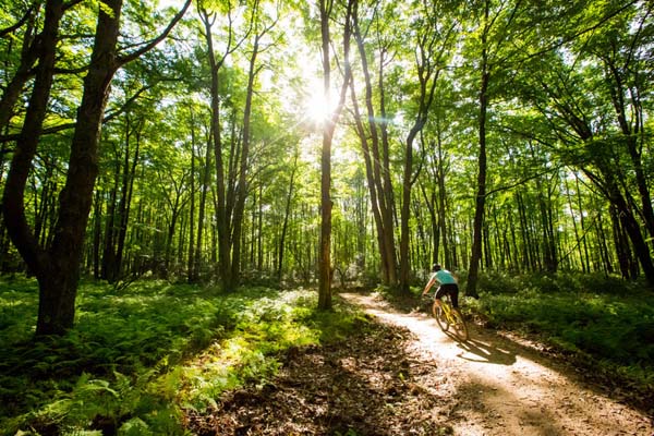 Bavington mountain bike discount trails